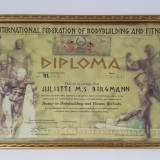 Diploma 01